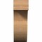 Ekena Millwork Del Monte Rough Sawn Rafter Tail, Western Red Cedar, 4"W x 12"H x 16"L RFT04X12X16DEL00RWR - alternate 3